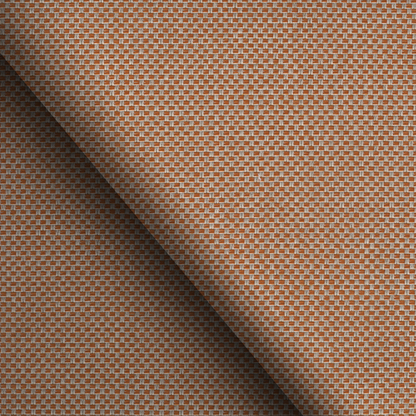 VITA 29