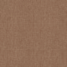 Libra 29