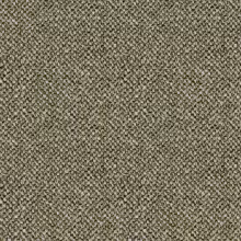1710847894_GIR_32.jpeg