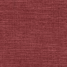 1758108562_Indi_22.jpg