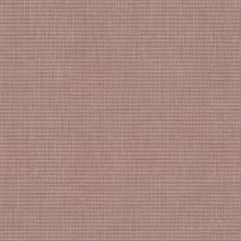 Libra 61