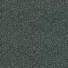 MOSS 35