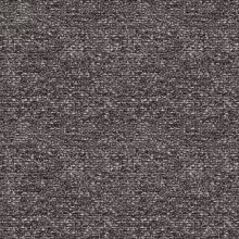Picar 53