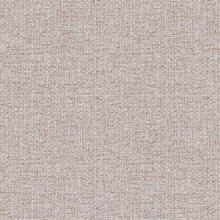 Salvia 04