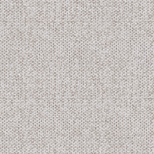Salvia 05