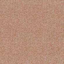 1695629728_Salvia_29.jpeg