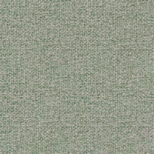Salvia 30