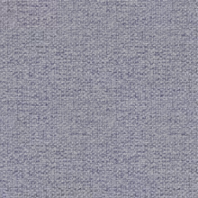 Salvia 45