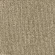 SONNET-FR 19 